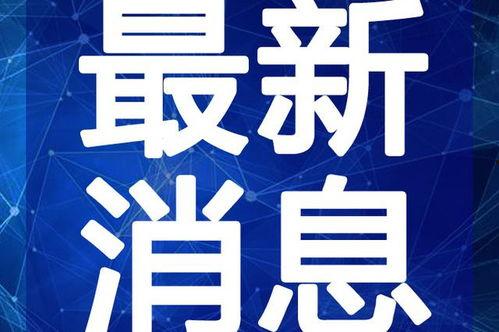 大集结最新爆料新闻视频,揭秘神秘事件背后的真相  第2张