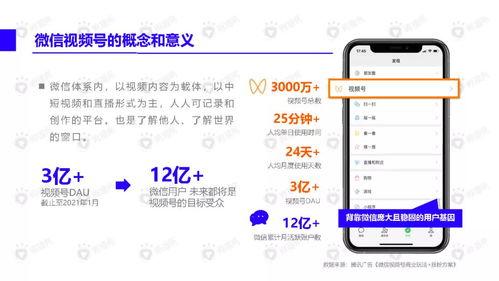 薯片大哥爆料视频下载安装,视频下载安装全过程深度解析  第3张